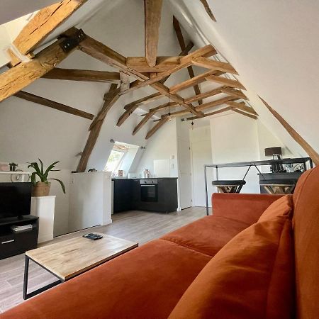 Appartement Cosy Vue Sur Le Vignoble Сансер Экстерьер фото